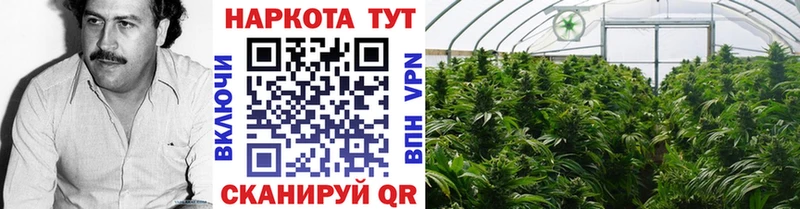 Купить КОКАИН Меф Амфетамин Марихуана Гашиш Суворов