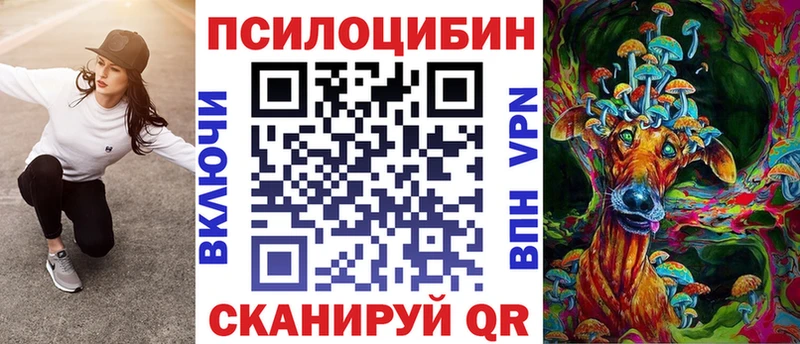 Купить закладки  Суворов  Галлюциногенные грибы мицелий 